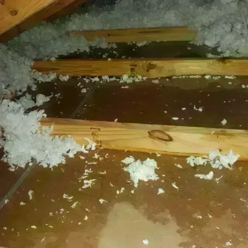 Attic Water Damage in Dixon, CA