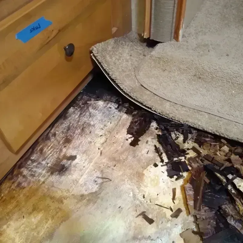 Wood Floor Water Damage in Dixon, CA